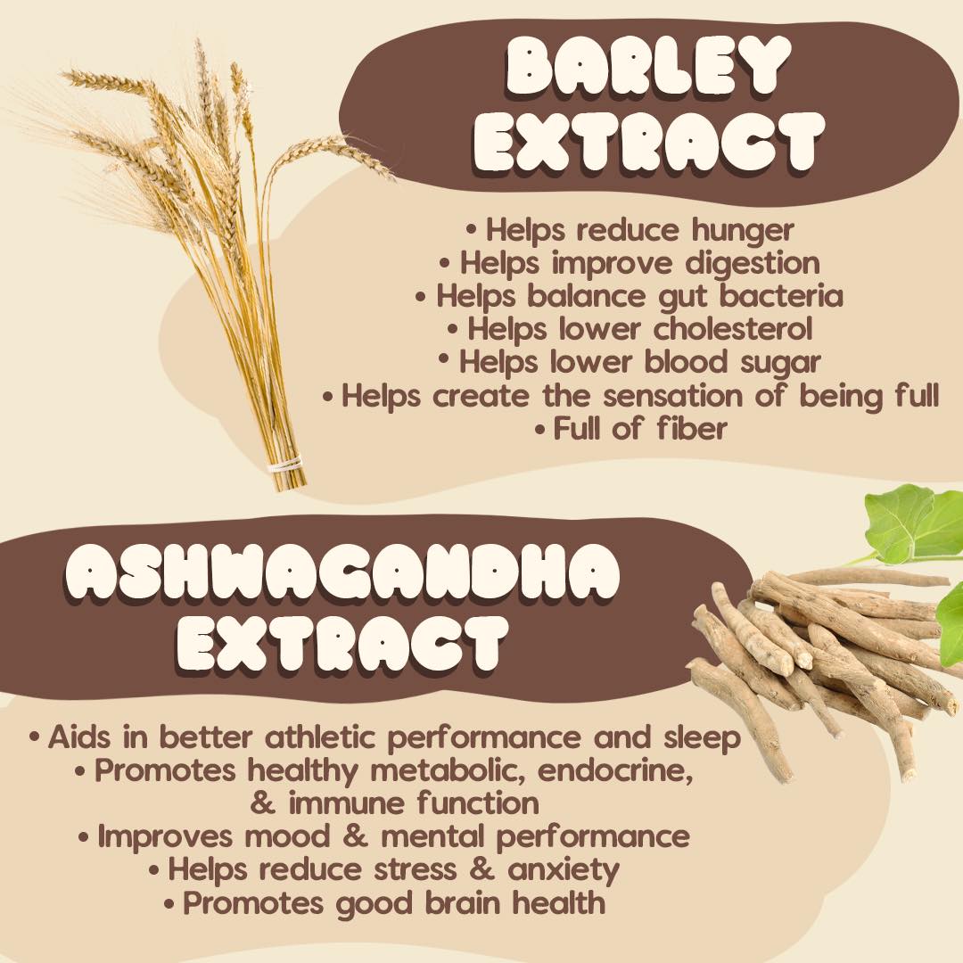 Dear Face Beauty Bean Choco Mallows | AU NZ -  - ingredients