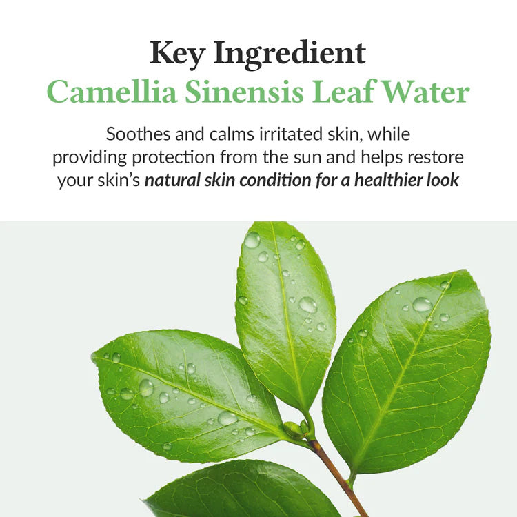Dr. Althea Green Tea Fresh Sunscreen SPF50+ PA++++ 45ml
