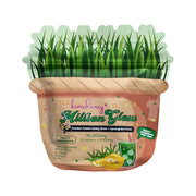 Kimsdiary Million Glow Russian Barley Grass + Lemongrass Extract