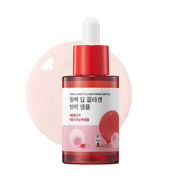 Round Lab Camellia Deep Collagen Firming Ampoule 30ml